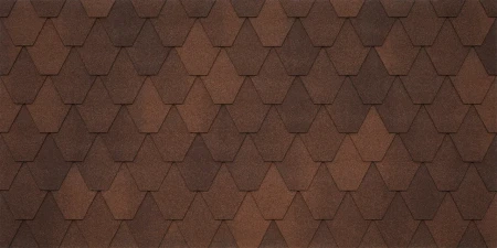 Business Sardegna Liberica 020