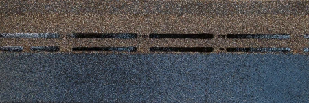 Premium голубика