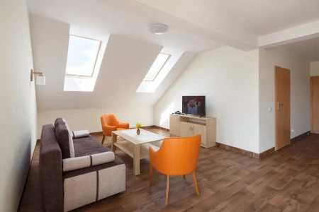 Мансардное окно Fakro Standard FTS-V U2 (V22) в Санкт-Петербурге фото