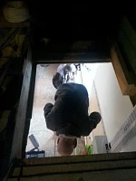 Подъём по чердачной лестнице Fakro LST 70x120, вид сверху