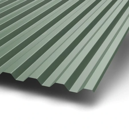 С-21 Puretan 0.5 RR 11