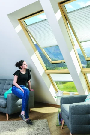 Мансардное окно Fakro LUX FPP-V Max U3 preSelect в Санкт-Петербурге фото Мансардное окно Fakro LUX FPP-V Max U3 preSelect в Санкт-Петербурге фото