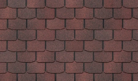 Цюрих чили Цюрих чили