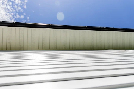 Виниловый софит Grand Line T4 Классика с частичной перфорацией белый