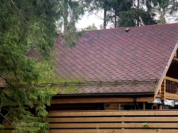 Как убрать мох с кровли из мягкой черепицы