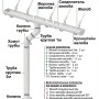 Комплект пластикового водостока d-120x80 мм Döcke Standard белый RAL 9003 в Санкт-Петербурге фото
