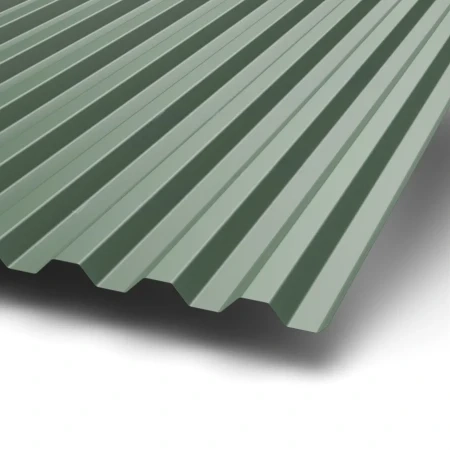 С-21 Puretan 0.5 RR 11