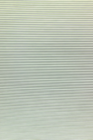 Шторы и москитные сетки 2 в 1 Fakro Штора и  AMD Duet Blackout в Санкт-Петербурге фото